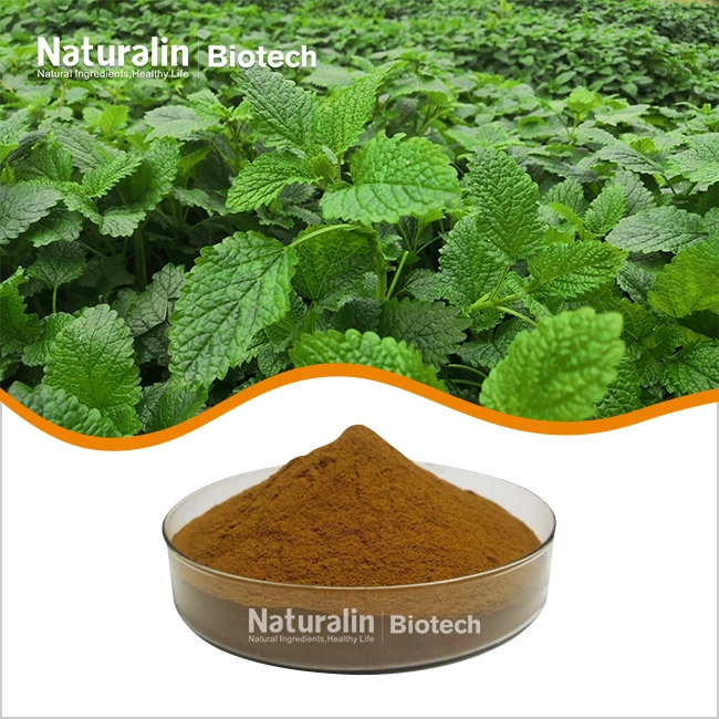 Melissa Extract Powder